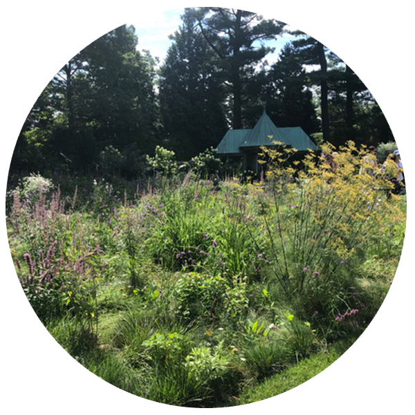 Horticulture-Therapy_2026