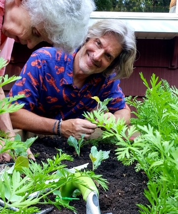 Healing Gardens: How Outdoor Spaces Support Rest, Recovery, and Well-Being
